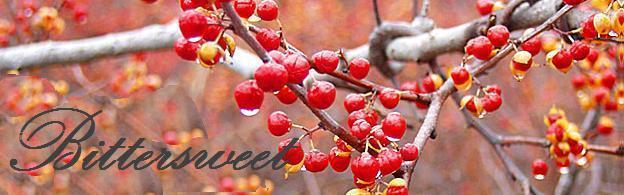 Bittersweet: M. Molly Backes