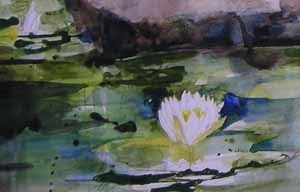 water lily at SSCC Arboretum by Susan K. Miller