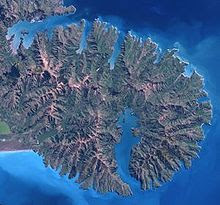 The Well Travelled Spatula: Chef Luigi Explores Banks Peninsula The Well Travelled Spatula: Chef Luigi Explores Banks Peninsula