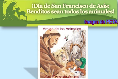 San Francisco de Asís, patrono de los animales: el homenaje del Papa  argentino ~ #CosasDeAnimales ~ Infobae.com