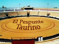 [pespuntetaurinoyplazadetoros.jpg]