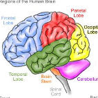 Mnemonic Techniques to improve