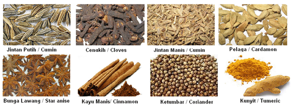 Common Malay Spices