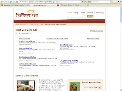Sheroo, a golden male labrador, dog of Ashwani Kumar Aggarwal and family, 1035 Urban Estate, phase-One, Jalandhar,Punjab immortalised courtesy the famous PETPLACE.COM (gopal1035)