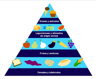 cadenas y redes y piramides alimenticias anastra piramides redes y cadenas alimenticias cadenas y redes y piramides alimenticias anastra piramides redes y cadenas alimenticias