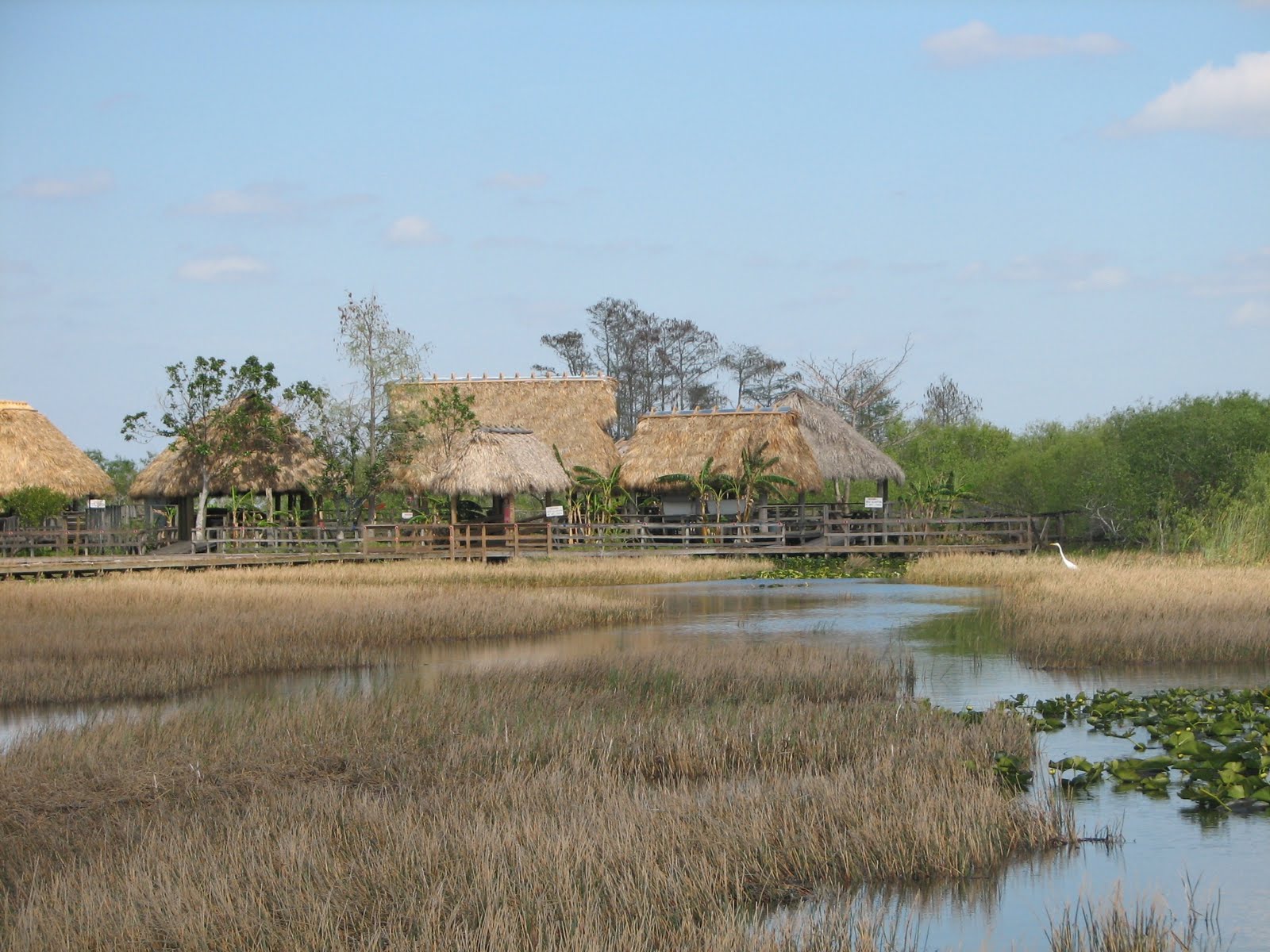 Small Travels and Musings Everglades, Miccosukee Reservation and Big