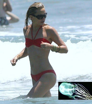 [kate_hudson_bikini_jelly.jpg]