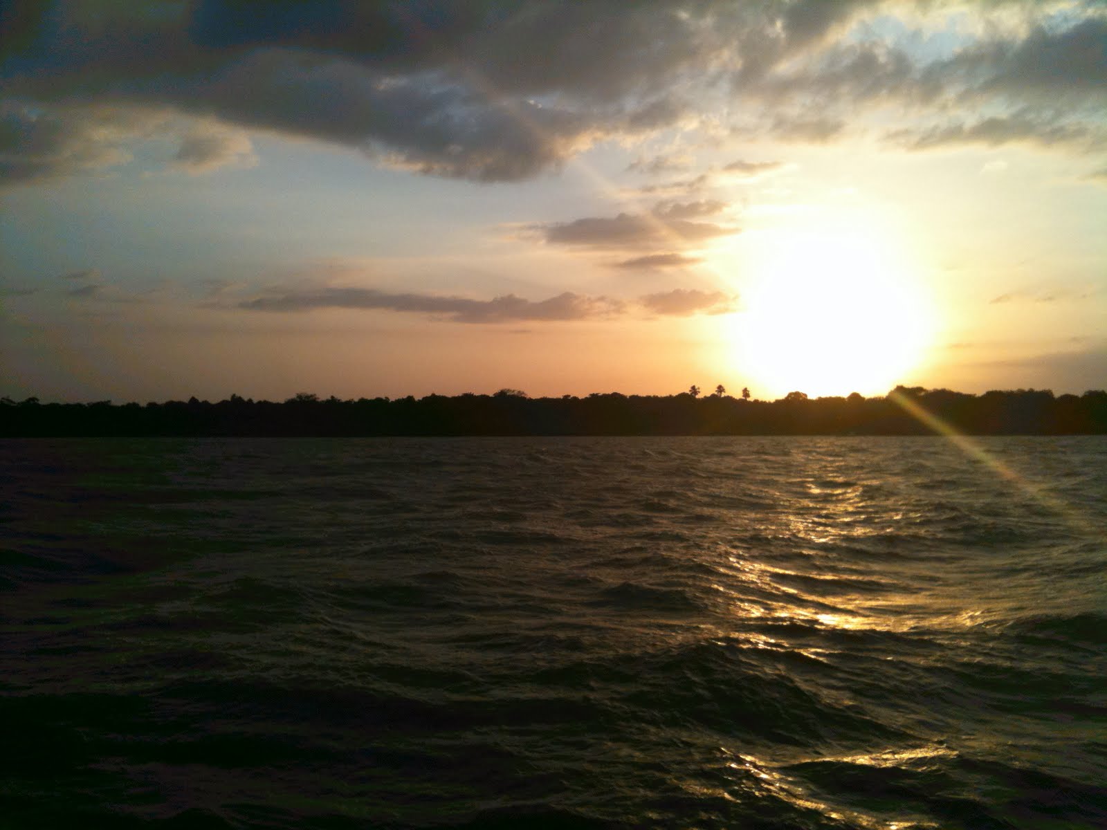 [IMG_0441.JPG]