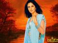 katrina kaif Wallpapers katrina kaif Wallpapers