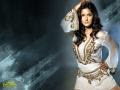 katrina kaif Wallpapers katrina kaif Wallpapers