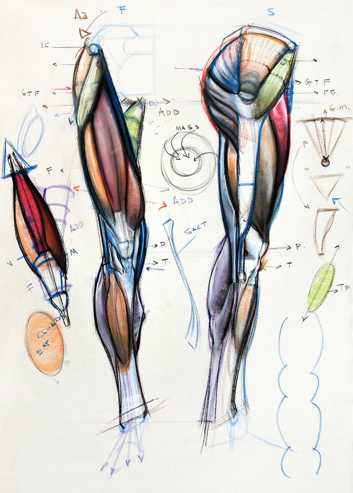 figuredrawing.info news: Legs and an explanation