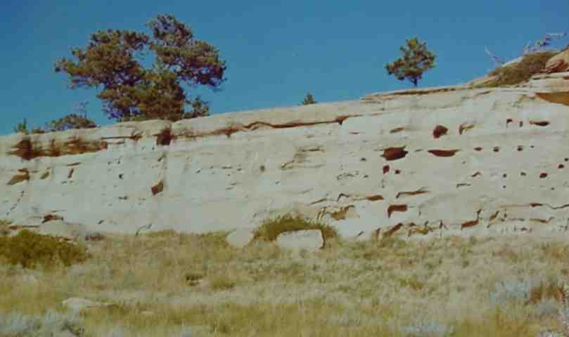 [RanchBuffalojump.jpg]