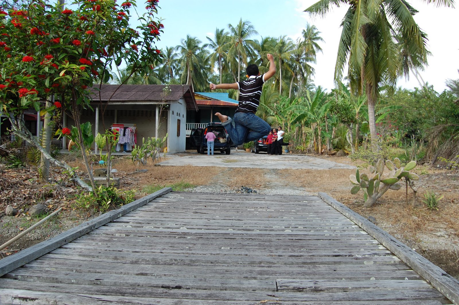 [DSC_0247.JPG]