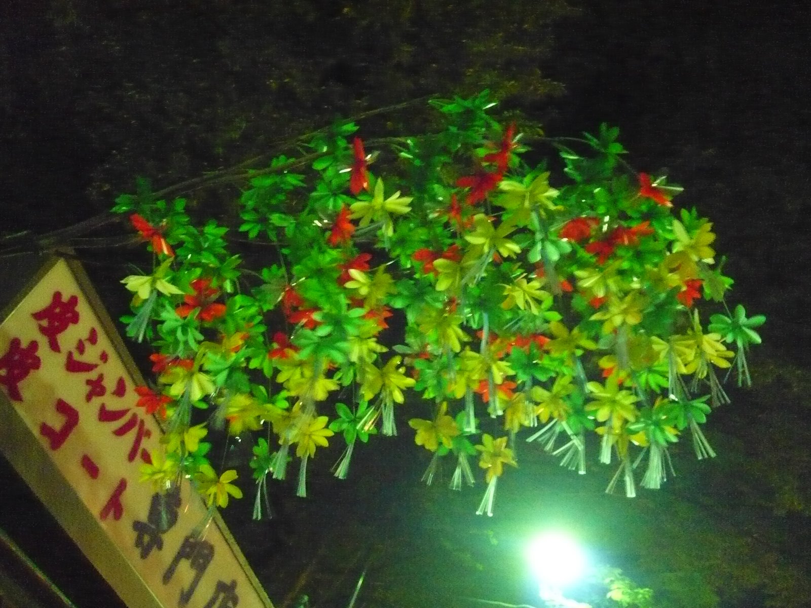[P1010020.JPG]