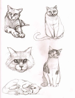 the mistresses sketchbook cat sketches