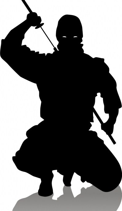 http://4.bp.blogspot.com/_-TmWcCkYErY/SwEoHSXj-cI/AAAAAAAAGUc/HyDB_puvqdc/s1600/ninja_crouch.jpg