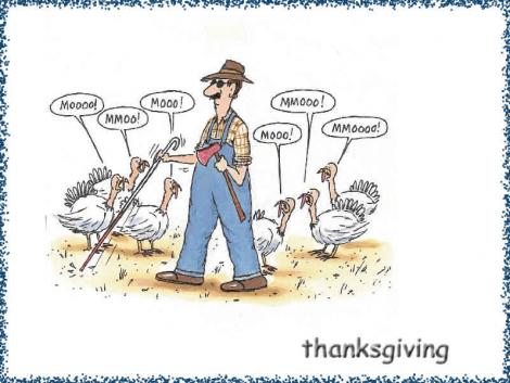 Funny Thanksgiving Wallpaper Funny Thanksgiving Wallpaper