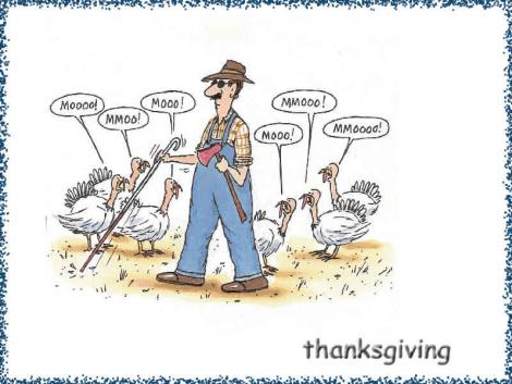 Funny Thanksgiving Pictures