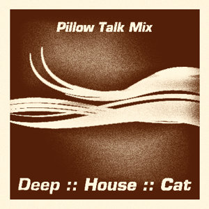 [image_2009_01_pillow_talk_mix.jpg]