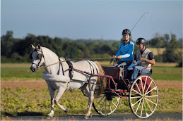 Alain et Mélanie CHABOT CHAMPIONS de FRANCE 2008 de TREC Attelé