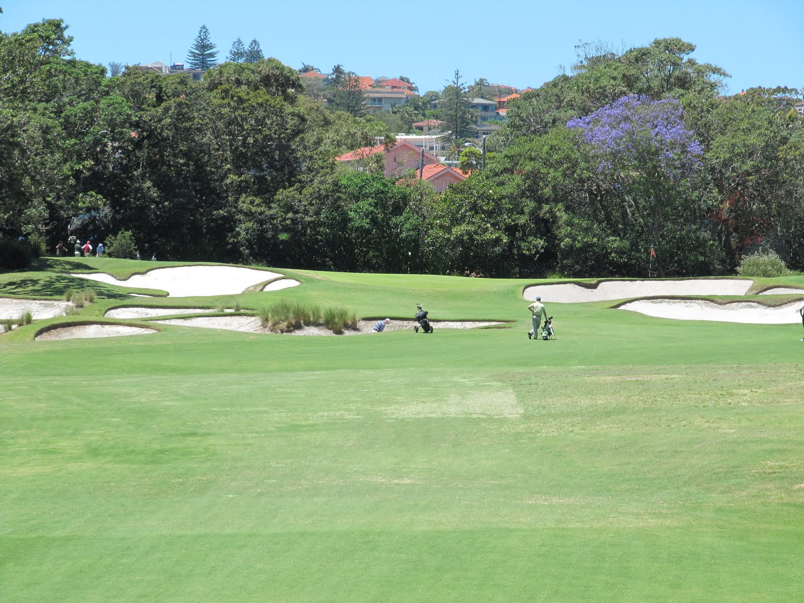 A Golf Course Design Blog Royal Sydney Golf Club, Australia