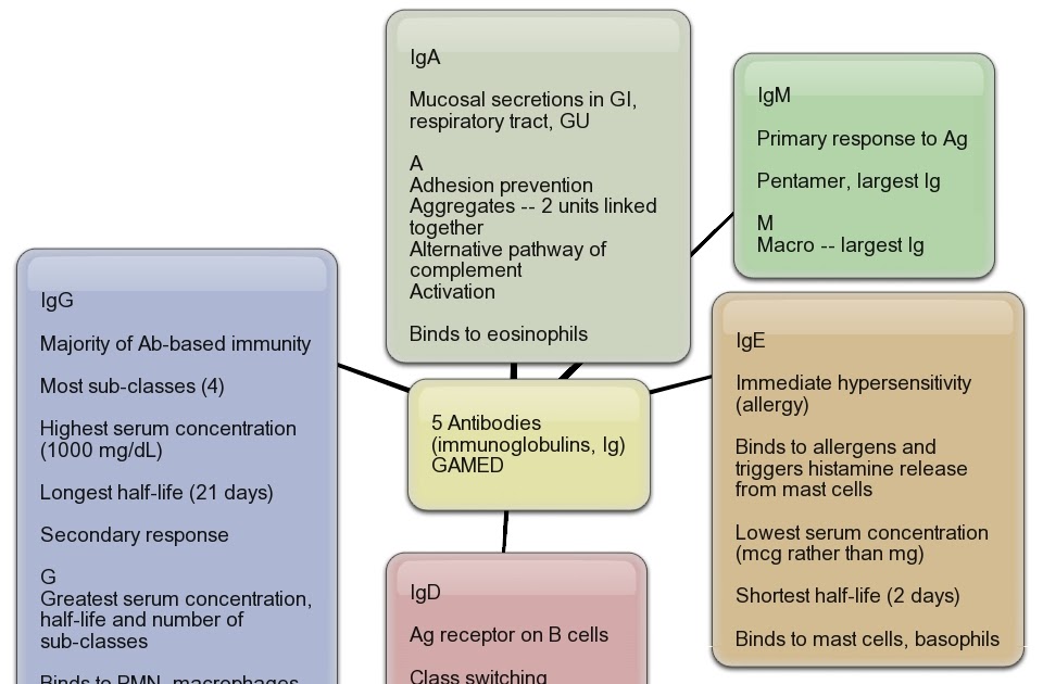 AllergyCases Immunoglobulin E (IgE)