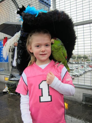 Maaco Parrot
