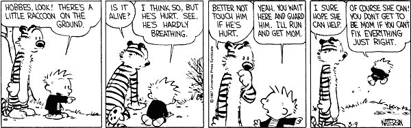 [calvin-and-hobbes-happy-mothers-day.gif]