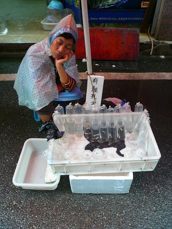 [Vendo+peces+Guangzhou+Qingping.JPG]
