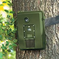 Wildlife Motion Detection Cameras