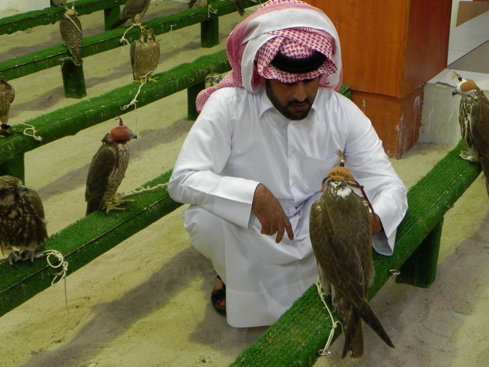 Hunting The Lost Insurgency Oman Started in Dubai...ended in Qatar.