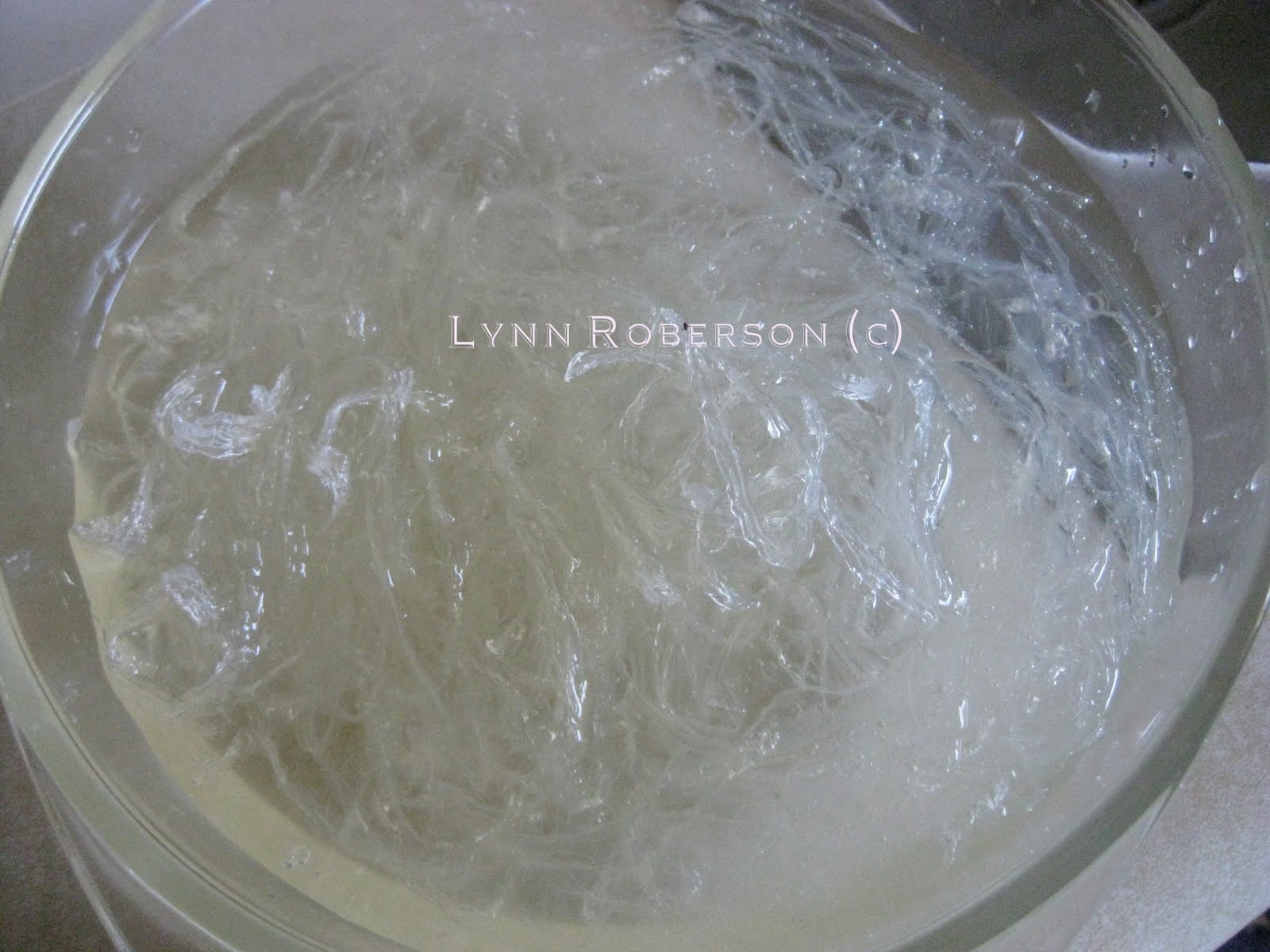 Bites and Pieces AgarAgar Gula Melaka (Palm Sugar Jelly)