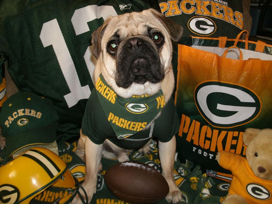 Kim S Northwoods Discoveries Stewie Green Bay Packer Photoshoot