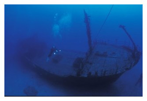 [Mauritius underwater 1.jpg]