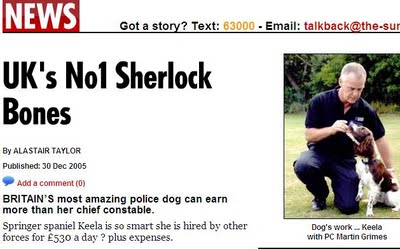 [SunTheBestSniferDog.jpg]