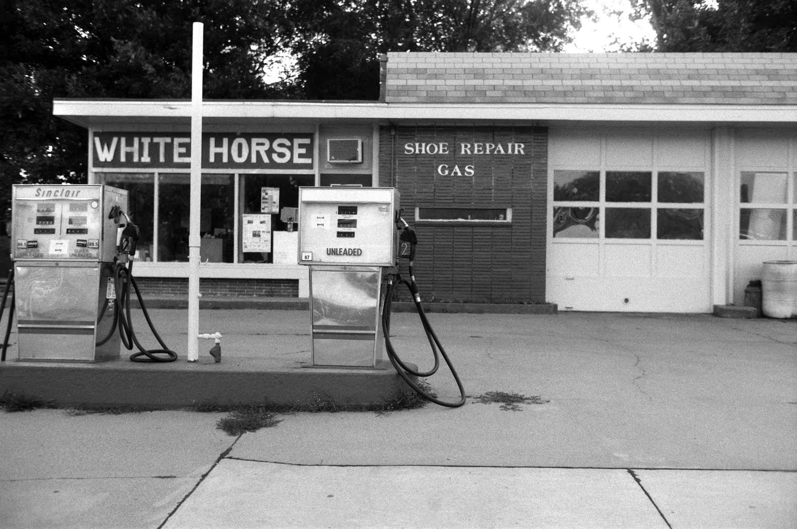 [white+horse+gas+and+shoe.jpg]