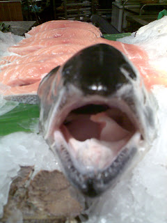Salmon head