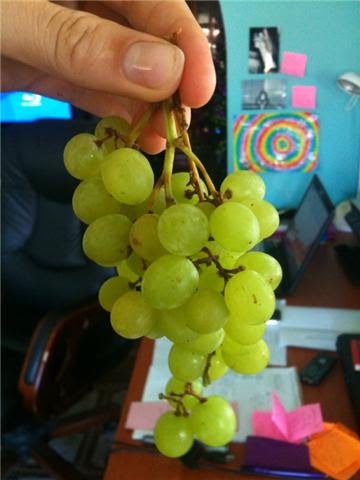 [grapes.bmp]