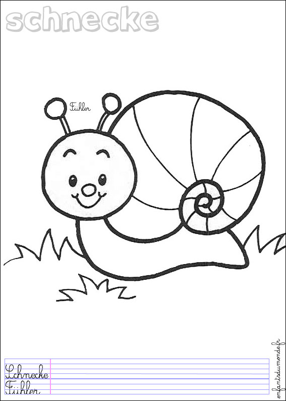 Coloriage Animaux De La Foret A Imprimer