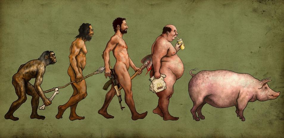 [evolution.jpg]