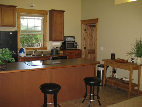 [apt-kitchen.jpg]
