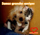 Mi foto