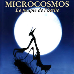 Microcosmos