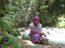 HOT SPRING LAGI