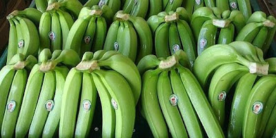 venta de cadenas de plata por kilo boliviagentederadio es la primera vez que la coca 237 na venta de cadenas de plata por kilo boliviagentederadio es la primera vez que la coca 237 na