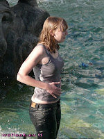 wetlook