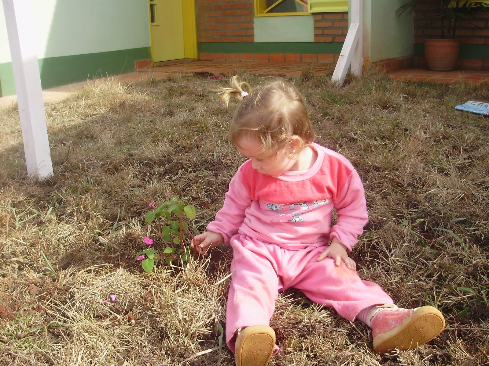 [P7030642.JPG]