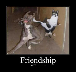 Funny Friendship Pictures