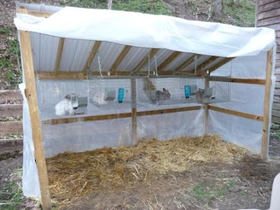 rabbit pen ideas