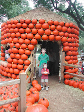 Pumpkin house